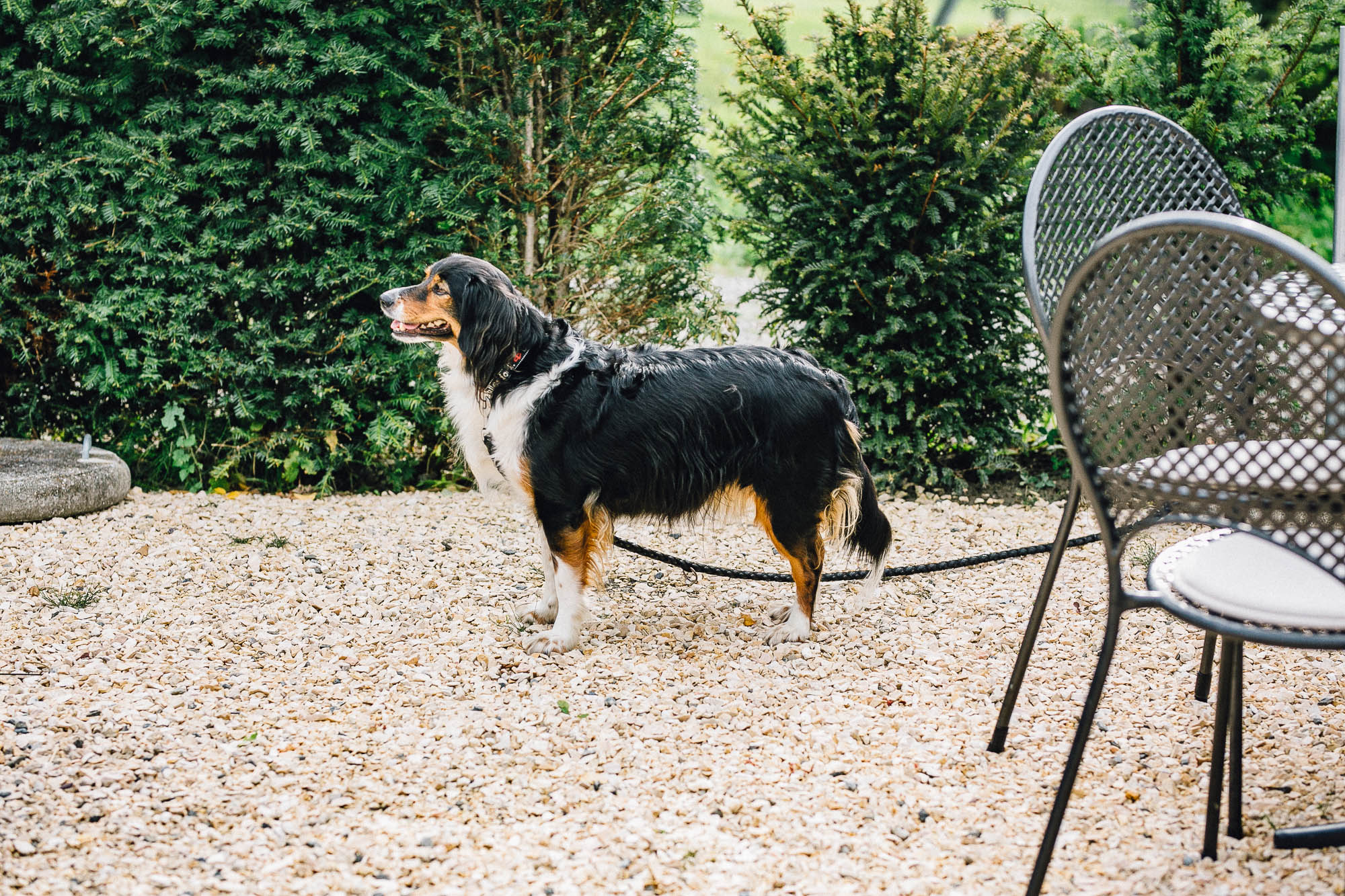 Export x3  U4C4728 Hochzeit 2019 Lena & Chasper